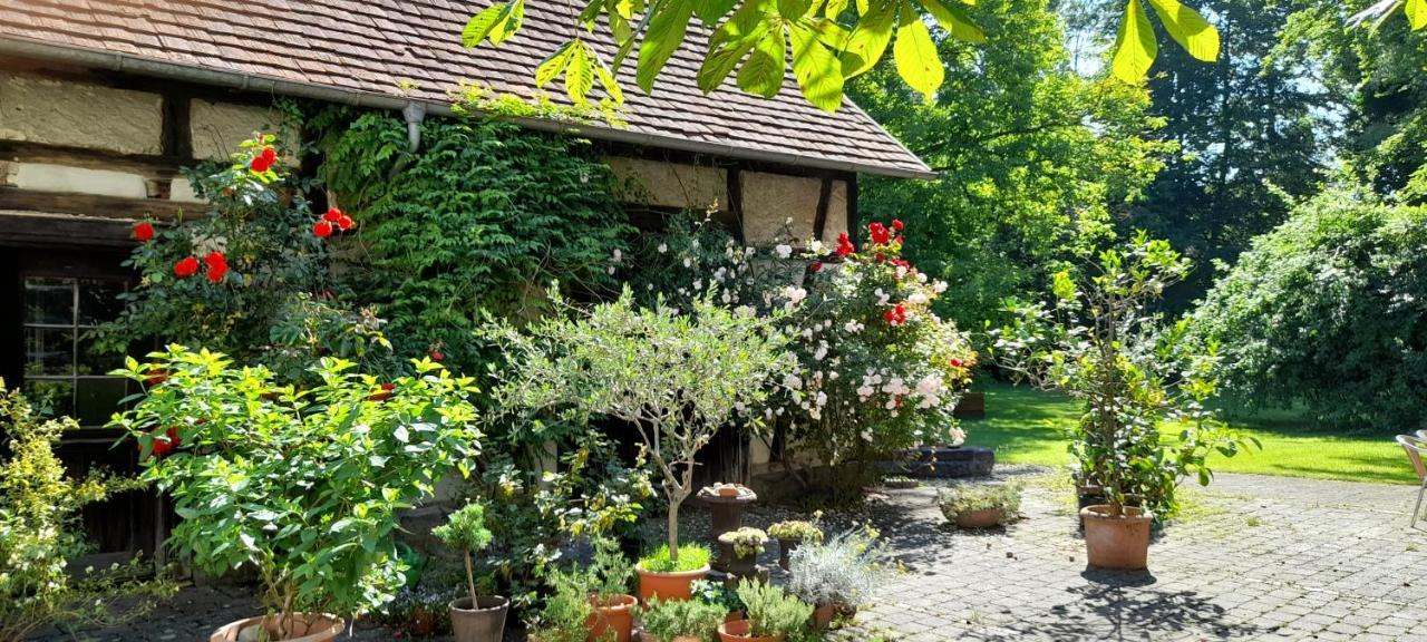 Villaflora Gaestehaus Riedlingen Exterior foto
