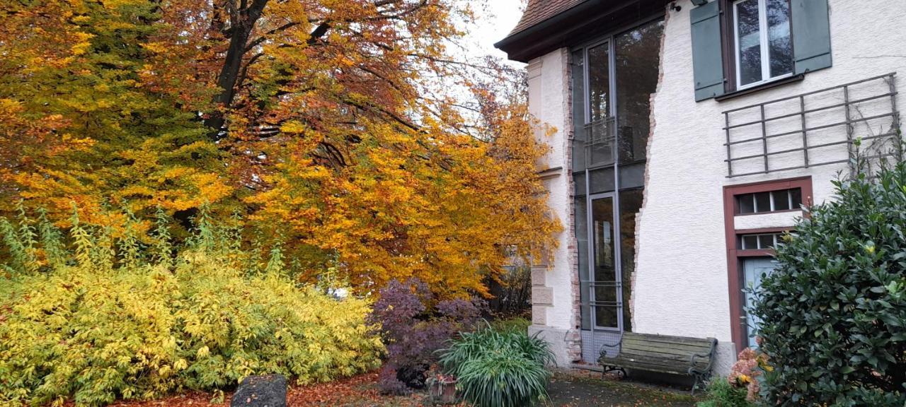 Villaflora Gaestehaus Riedlingen Exterior foto